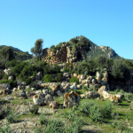 s_150_150_16777215_00_images_nuraghe_s_omu_de_s_orcu_domusnovas.png
